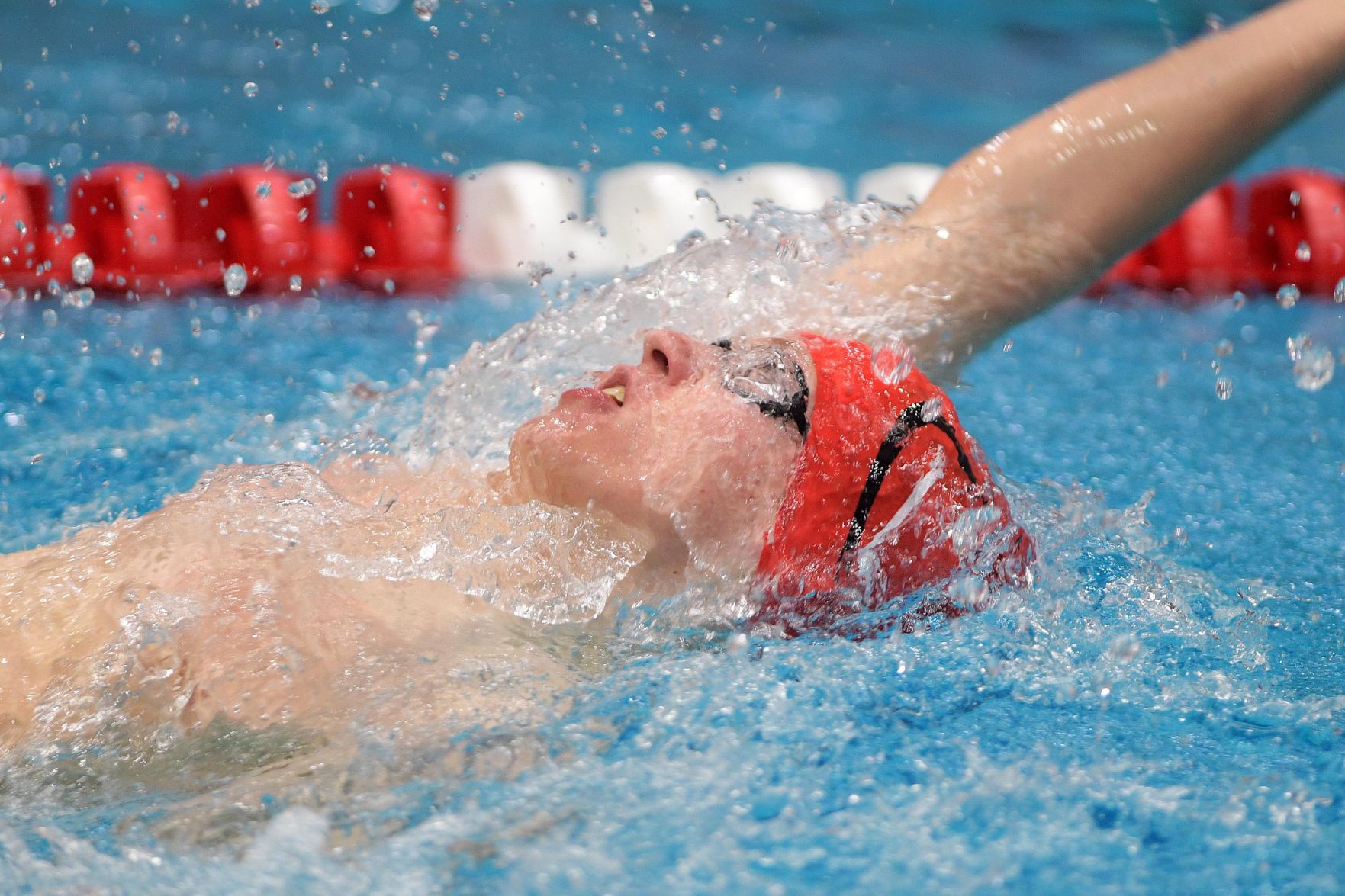 CV Carlisle Swimming